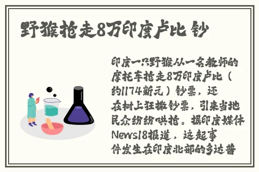 张警犬9分10秒头撞玻璃网盘